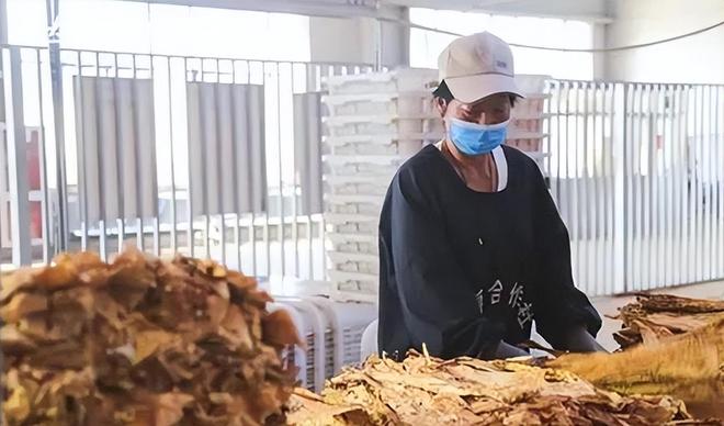 千亿市场惊动中美合作抓捕行动！不朽情缘版福建小县城假烟泛滥(图4)