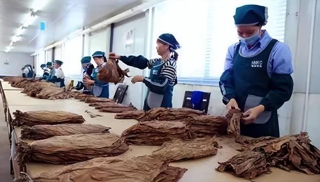 千亿市场惊动中美合作抓捕行动！不朽情缘版福建小县城假烟泛滥(图7)