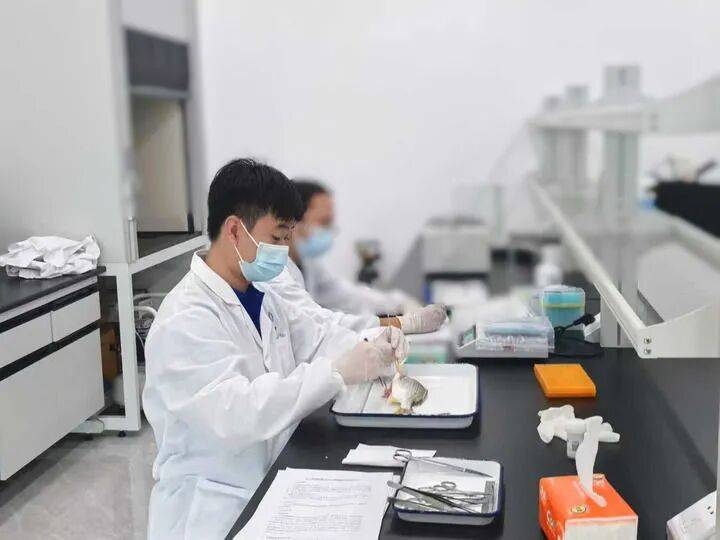 桌——中山大学海洋科学学院创新守护“蓝色