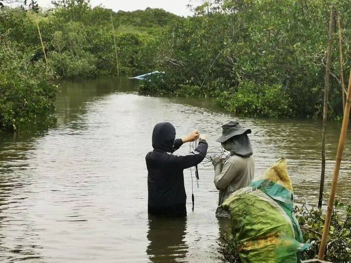 桌——中山大学海洋科学学院创新守护“蓝色粮仓”|新华智见mg不朽情缘游戏平台把实验室搬到“塘头”让成果“游”上餐(图7) 桌——中山大学海洋科学学院创新守护“蓝色粮仓”|新华智见mg不朽情缘游戏平台把实验室搬到“塘头”让成果“游”上餐(图7)