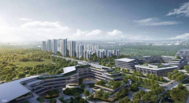 星遇光年新房周边配套-价格不朽情缘app合肥伟星万科(图5)